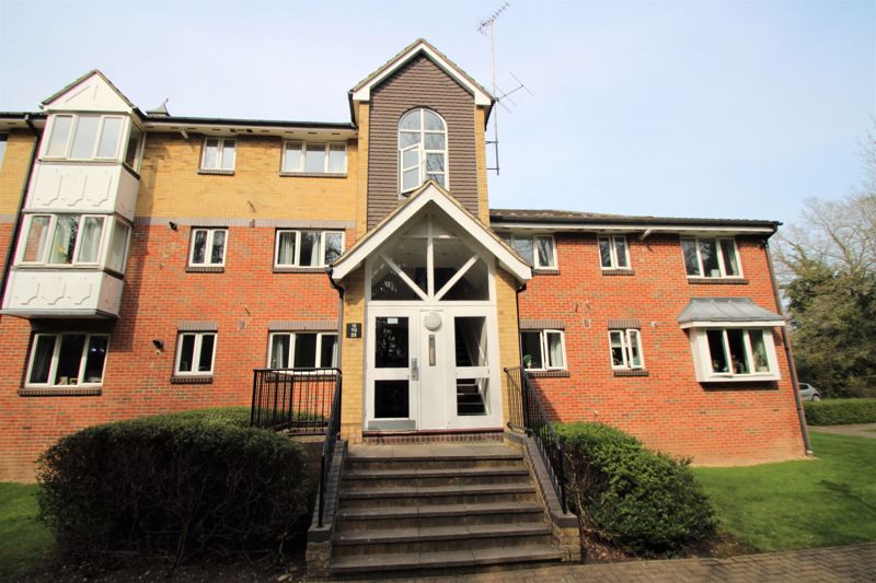 Main Image
